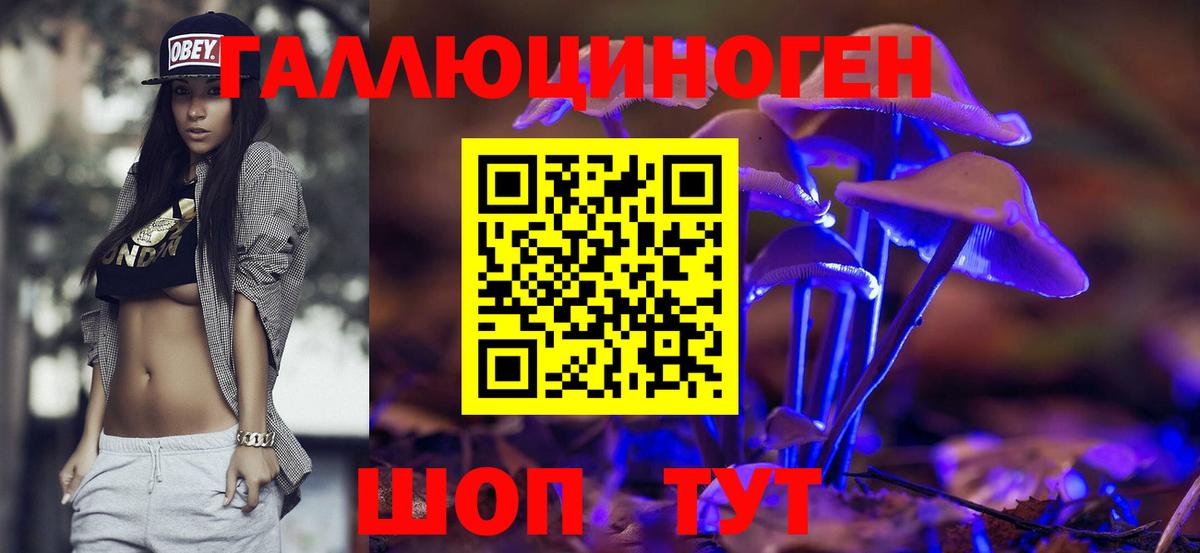 Псилоцибиновые грибы мухоморы  Вход с VPN  Псилоцибиновые грибы Psilocybe  наркошоп  Скопин 